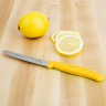 Нож для овощей VICTORINOX SWISSCLASSIC TOMATO&TABLE 6.7836.L118